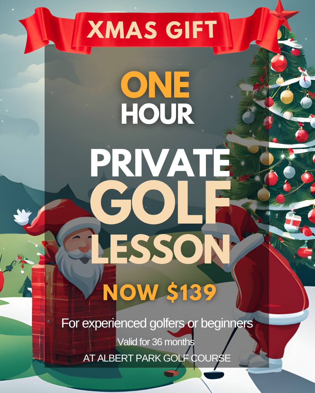 Xmas Special 1 Hour Private Golf Lesson